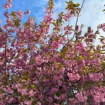 Ferientiet 公寓 卑尔根